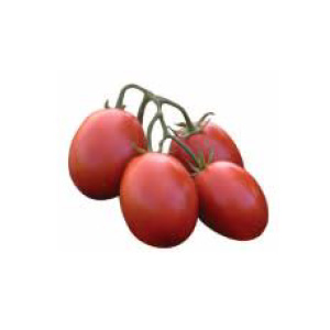 Pietrarossa